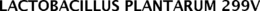 LACTOBACILLUS PLANTARUM 299V trademark