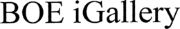 BOE IGALLERY trademark