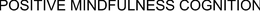 POSITIVE MINDFULNESS COGNITION trademark