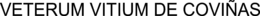 VETERUM VITIUM DE COVIÑAS trademark