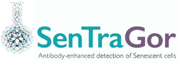 SENTRAGOR ANTIBODY-ENHANCED DETECTION OF SENESCENT CELLS trademark