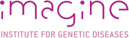 IMAGINE INSTITUTE FOR GENETIC DISEASES trademark