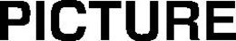PICTURE trademark