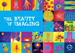 THE BEAUTY OF IMAGING BRACCO LIFE FROM INSIDE trademark