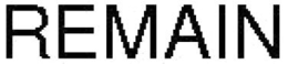 REMAIN trademark