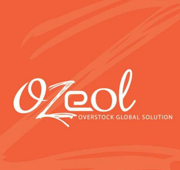 OZEOL Z OVERSTOCK GLOBAL SOLUTION trademark