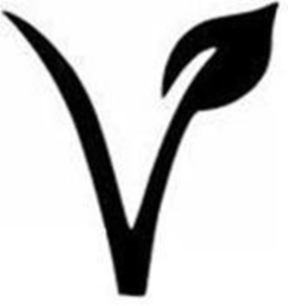 V trademark