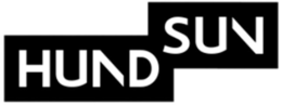 HUNDSUN trademark