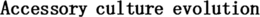 ACCESSORY CULTURE EVOLUTION trademark