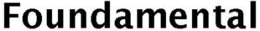 FOUNDAMENTAL trademark
