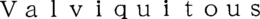 VALVIQUITOUS trademark