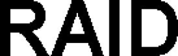 RAID trademark