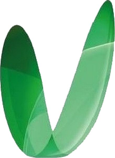 V trademark