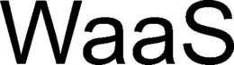 WAAS trademark