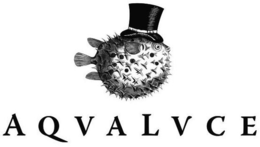 AQVALVCE trademark