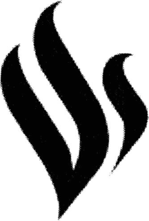 VS trademark