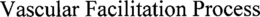 VASCULAR FACILITATION PROCESS trademark