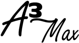 A3 MAX trademark