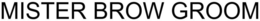 MISTER BROW GROOM trademark