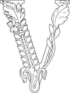 V trademark