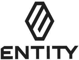 E ENTITY trademark