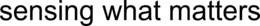 SENSING WHAT MATTERS trademark