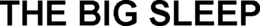 THE BIG SLEEP trademark