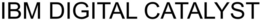 IBM DIGITAL CATALYST trademark