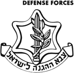 DEFENSE FORCES trademark