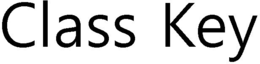 CLASS KEY trademark