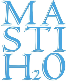 MASTIH2O trademark