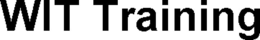 WIT TRAINING trademark