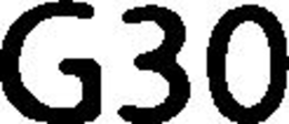 G30 trademark