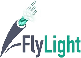 FLYLIGHT trademark