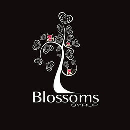 BLOSSOMS SYRUP trademark