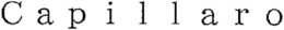 CAPILLARO trademark