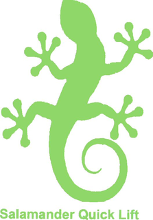 SALAMANDER QUICK LIFT trademark