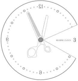 REVERSE CLOCK trademark