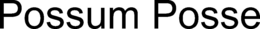 POSSUM POSSE trademark