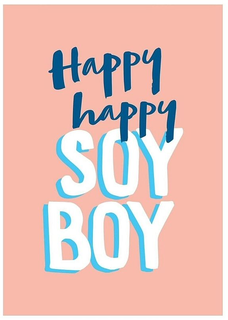 HAPPY HAPPY SOY BOY trademark