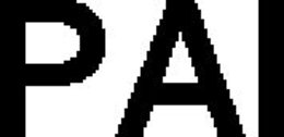 PAI trademark
