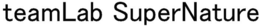 TEAMLAB SUPERNATURE trademark