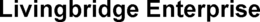 LIVINGBRIDGE ENTERPRISE trademark