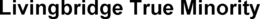 LIVINGBRIDGE TRUE MINORITY trademark