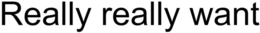 REALLY REALLY WANT trademark