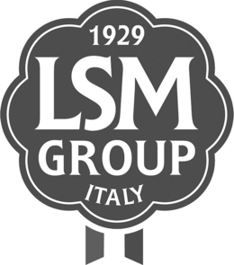 1929 LSM GROUP ITALY trademark