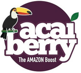 ACAI BERRY THE AMAZON BOOST trademark