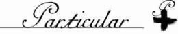 PARTICULAR P trademark