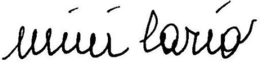 MINI LARIO trademark