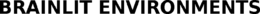 BRAINLIT ENVIRONMENTS trademark